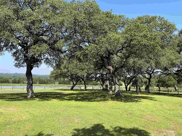 534 Scott's School Road Flatonia, TX 78941 - Photo 10 of 27 a view of outdoor space with trees all around