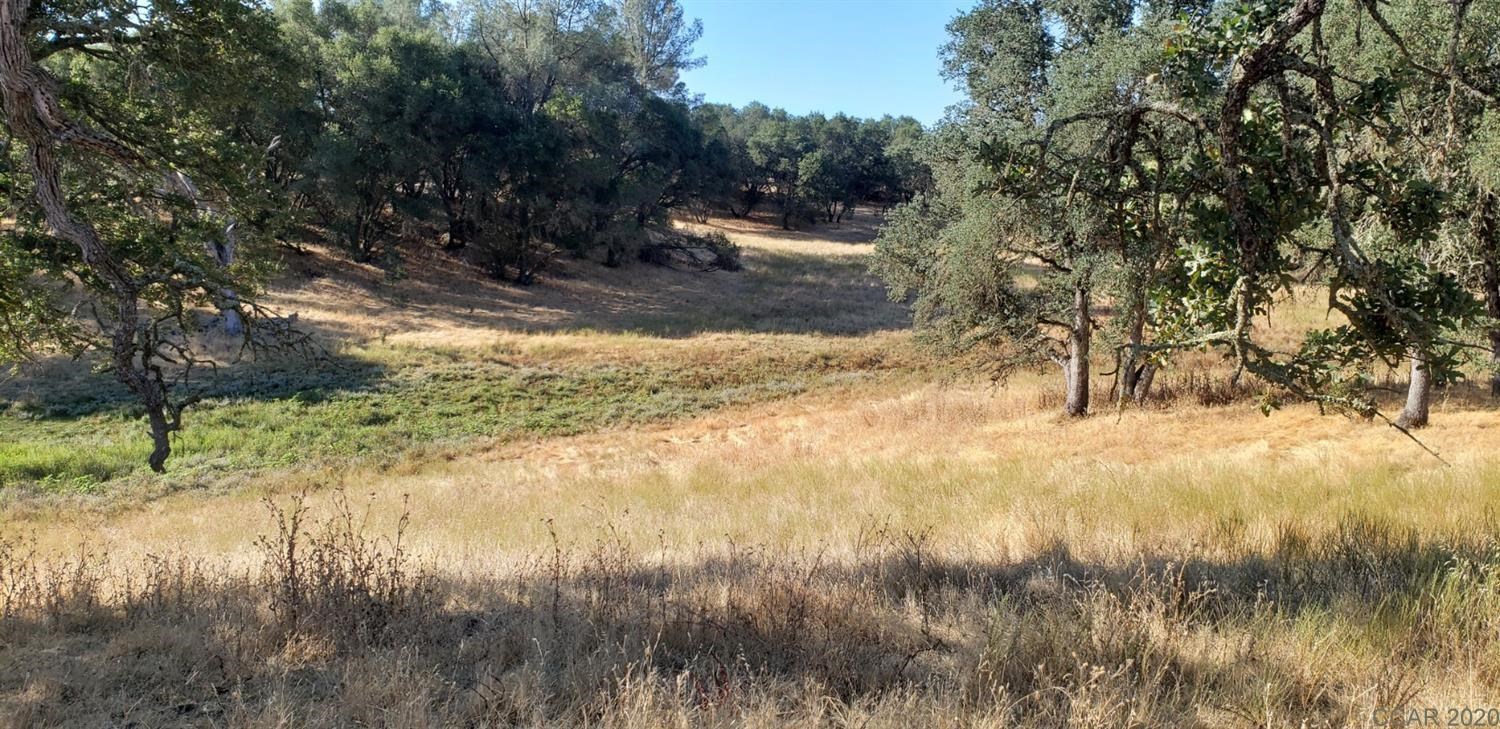 3214 Stagecoach Road Copperopolis, CA 95228 - Photo 1 of 1 Gallery Image 1