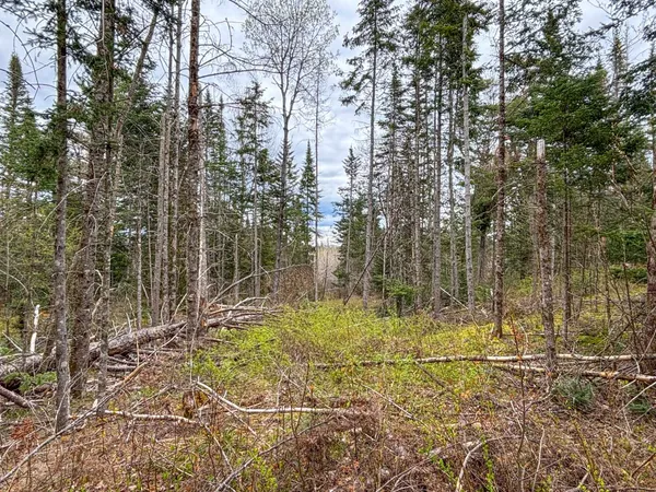 $99,000 | 0 Atwood Drive, Unit 4, Island Pond, VT 05846