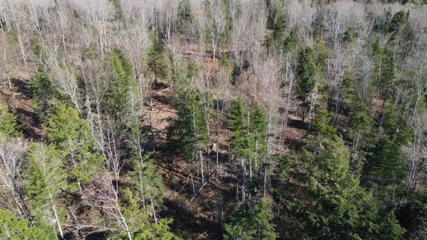 $99,000 | 0 Atwood Drive, Unit 4, Island Pond, VT 05846