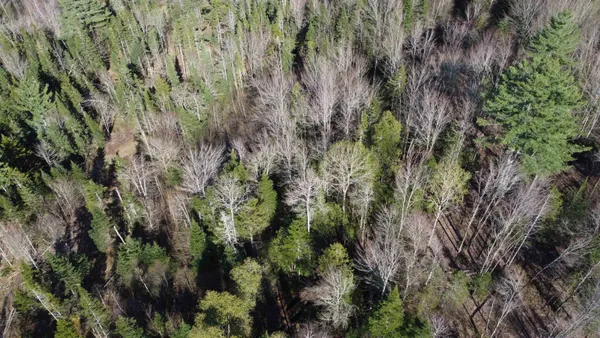 $99,000 | 0 Atwood Drive, Unit 4, Island Pond, VT 05846