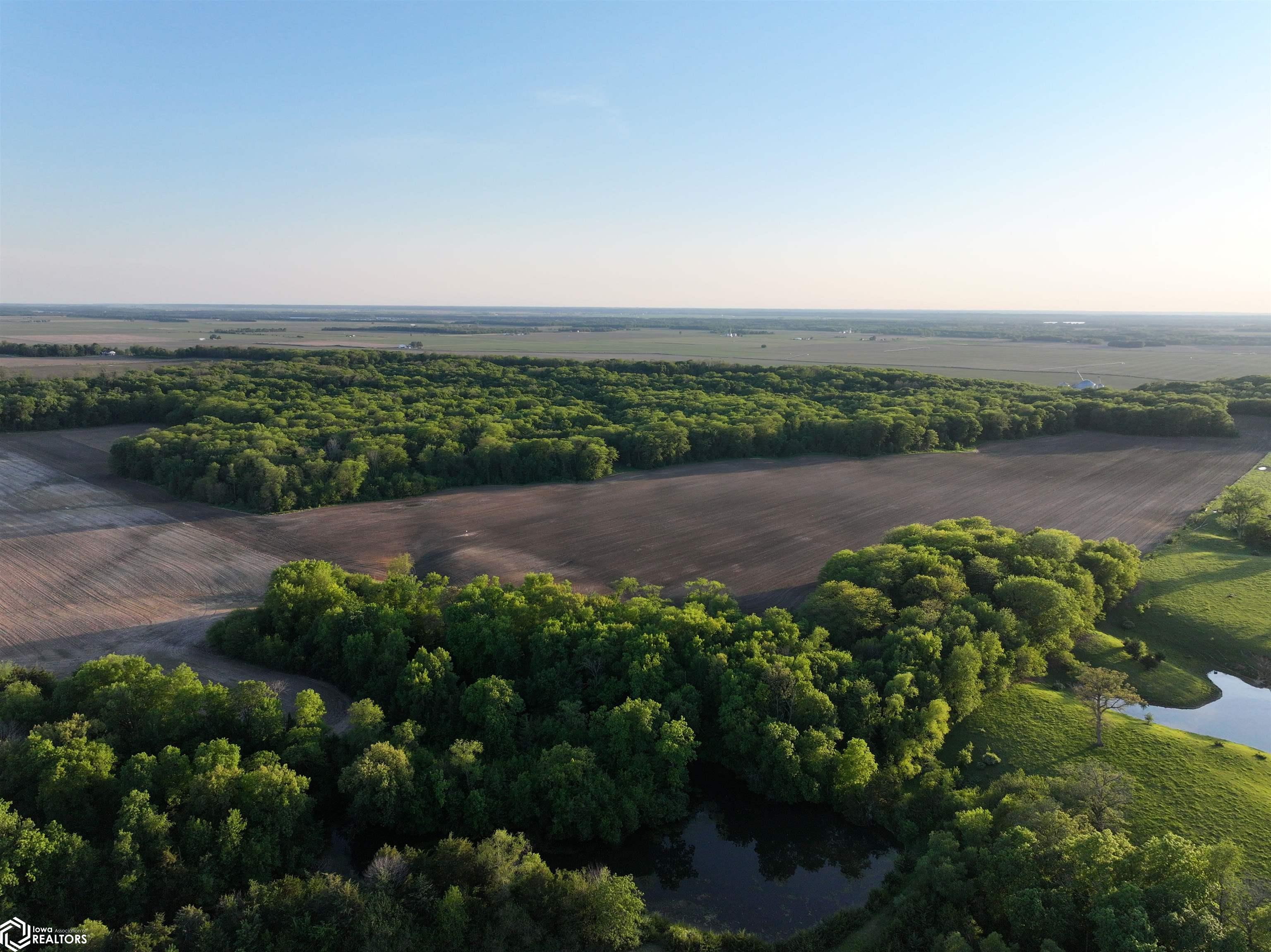 Bluff Road Joy, IL 61260 - Photo 13 of 27 Gallery Image 13