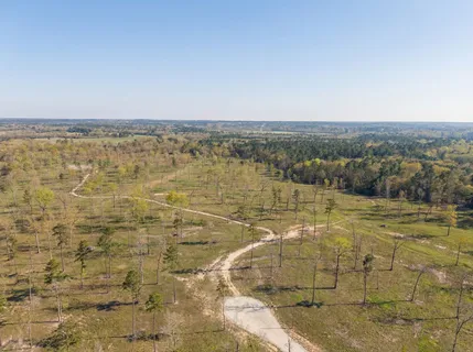 $172,000 | Lot 4 Johnson Drive, Livingston, TX 77351