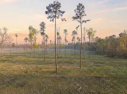 $172,000 | Lot 4 Johnson Drive, Livingston, TX 77351