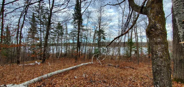 $185,000 | Tbd - Parcel A Tbd - Parcel A Ticonderoga Trail, Hackensack, MN 56452