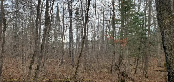 $185,000 | Tbd - Parcel A Tbd - Parcel A Ticonderoga Trail, Hackensack, MN 56452