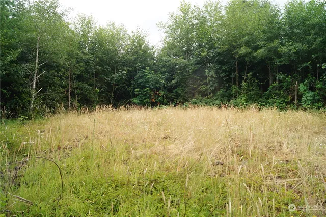 $128,000 | -off Of Wynooche Wishkah Road, Montesano, WA 98563