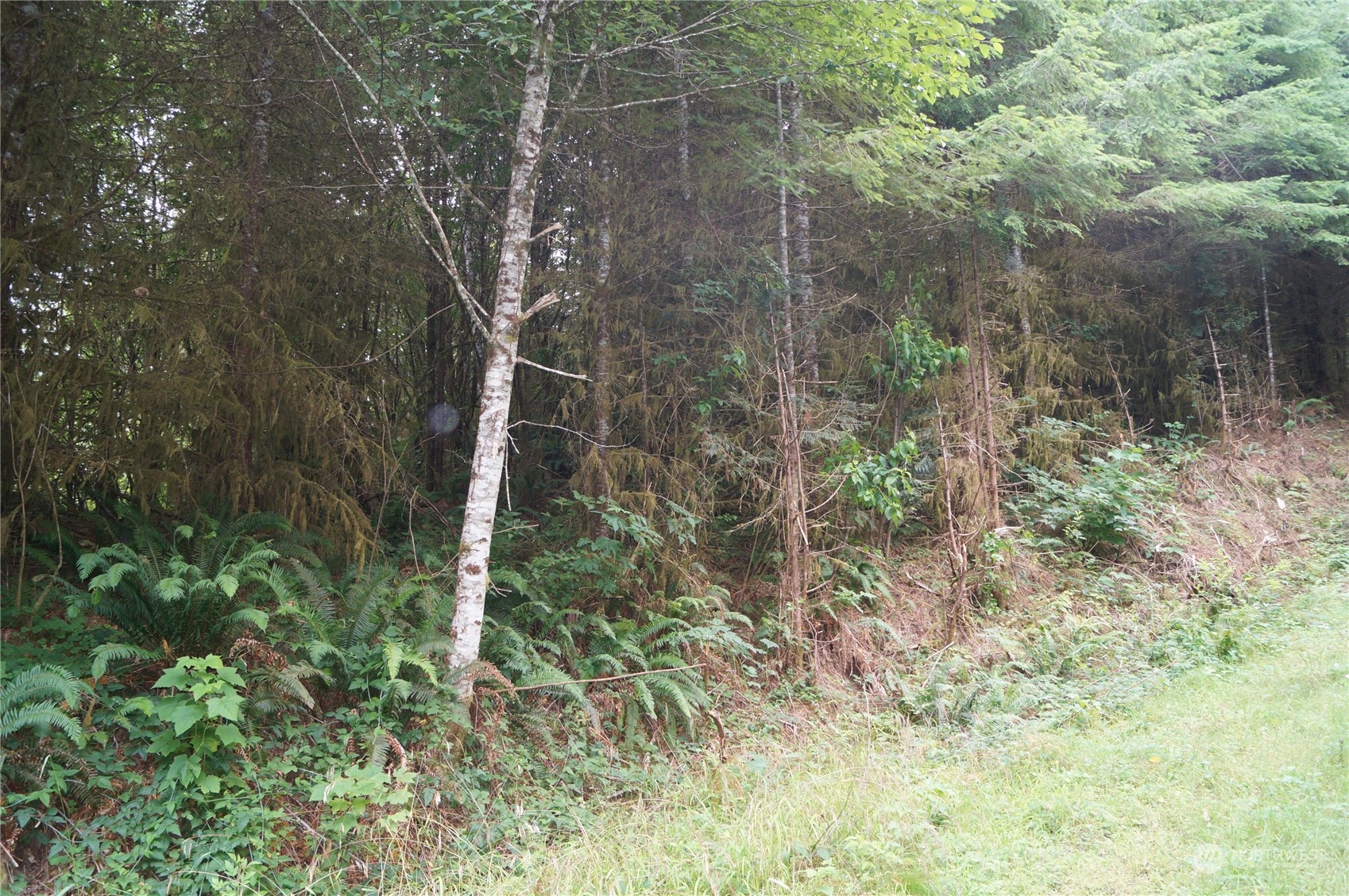 -off Of Wynooche Wishkah Road Montesano, WA 98563 - Photo 3 of 7