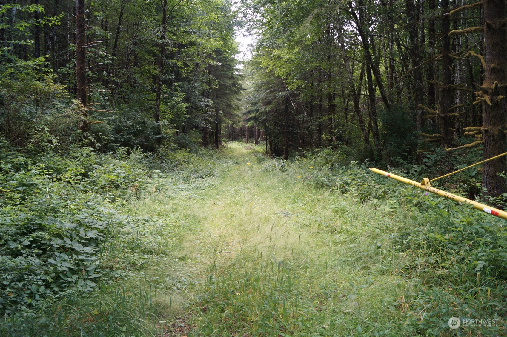 -off Of Wynooche Wishkah Road Montesano, WA 98563 - Photo 6 of 7