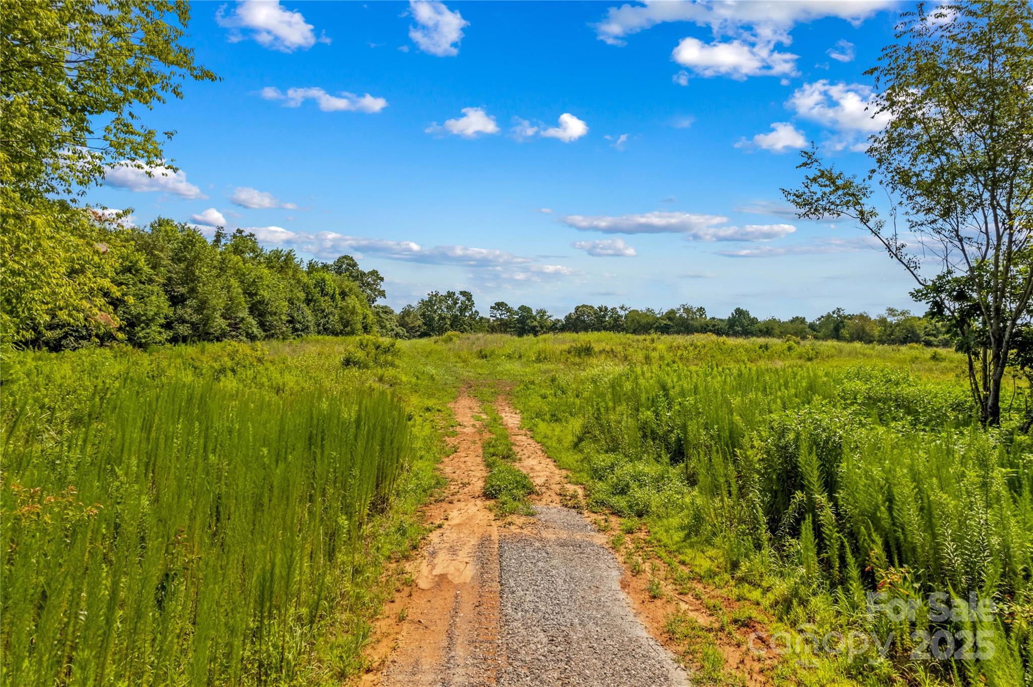 0 Cove Gap Road Statesville, NC 28625 - Photo 17 of 33