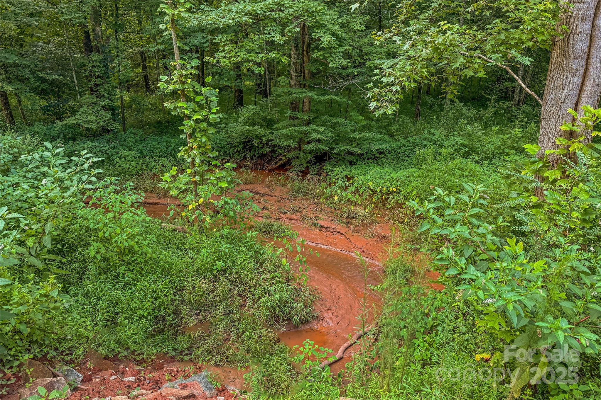 0 Cove Gap Road Statesville, NC 28625 - Photo 32 of 33