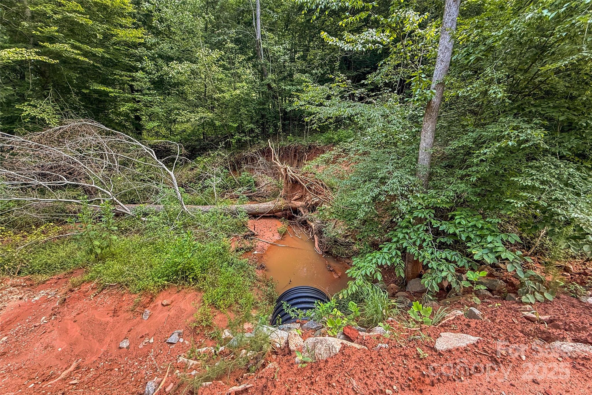 0 Cove Gap Road Statesville, NC 28625 - Photo 33 of 33