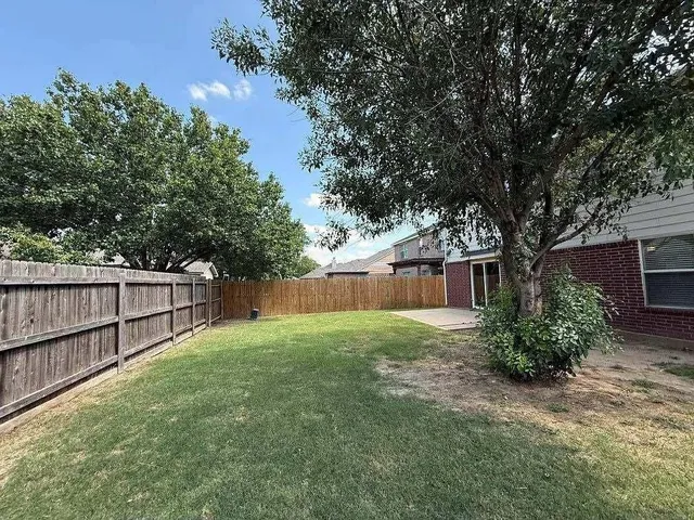 a view of a backyard with potted plants and large trees