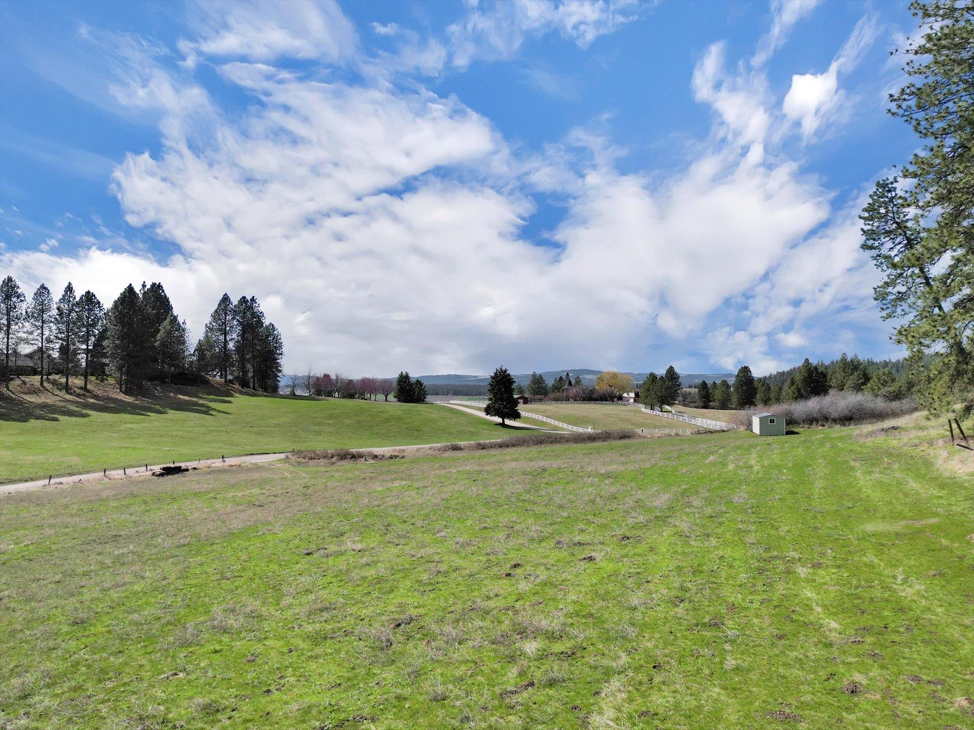 Xxxx East Day Road Mead, WA 99021 - Photo 4 of 23