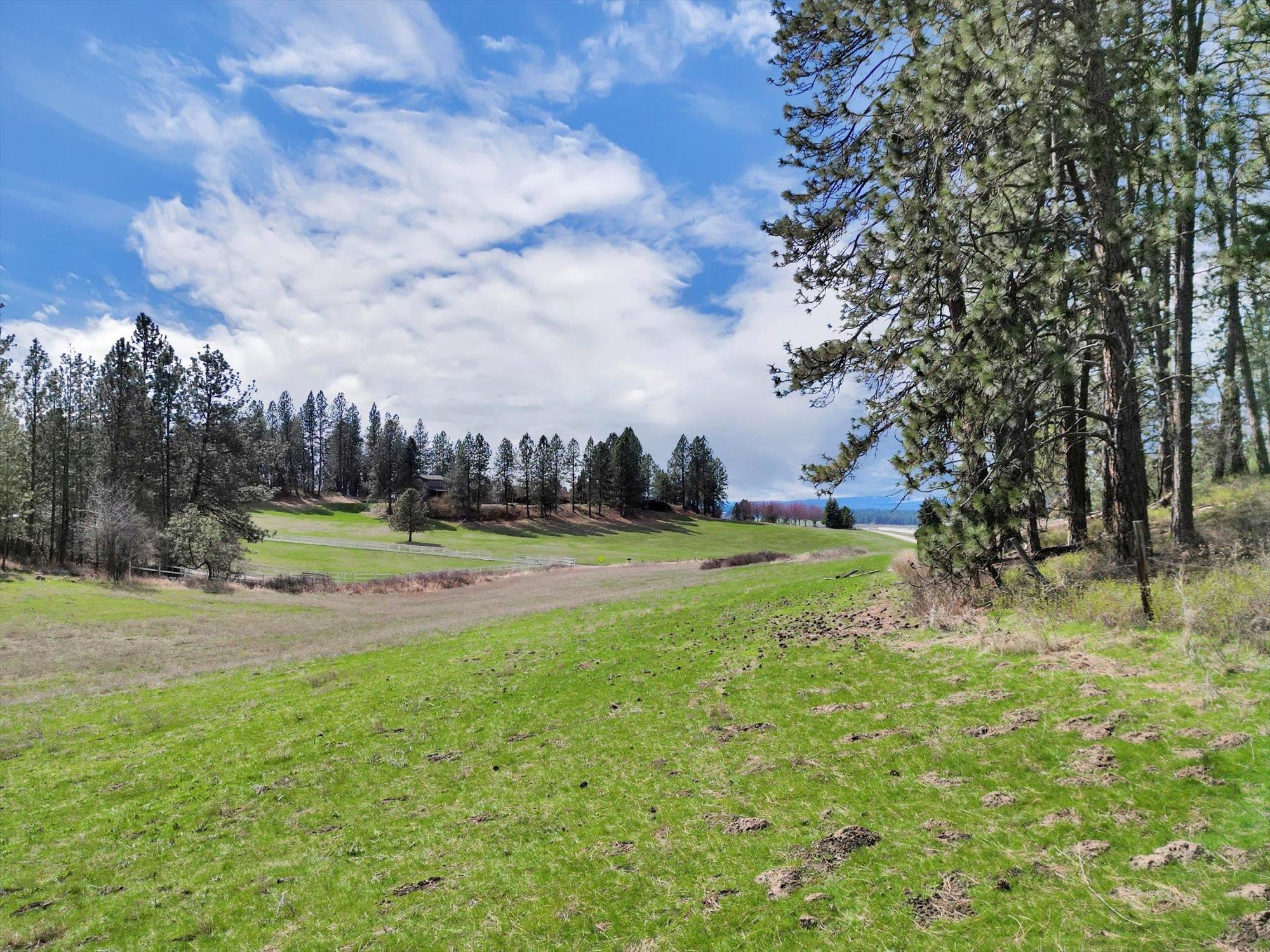 Xxxx East Day Road Mead, WA 99021 - Photo 6 of 23