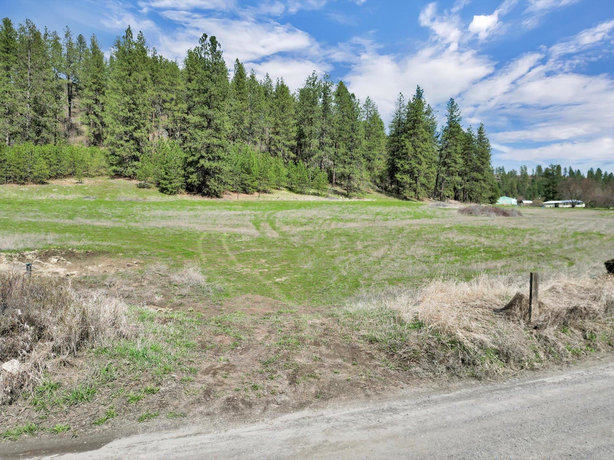 Xxxx East Day Road Mead, WA 99021 - Photo 8 of 23