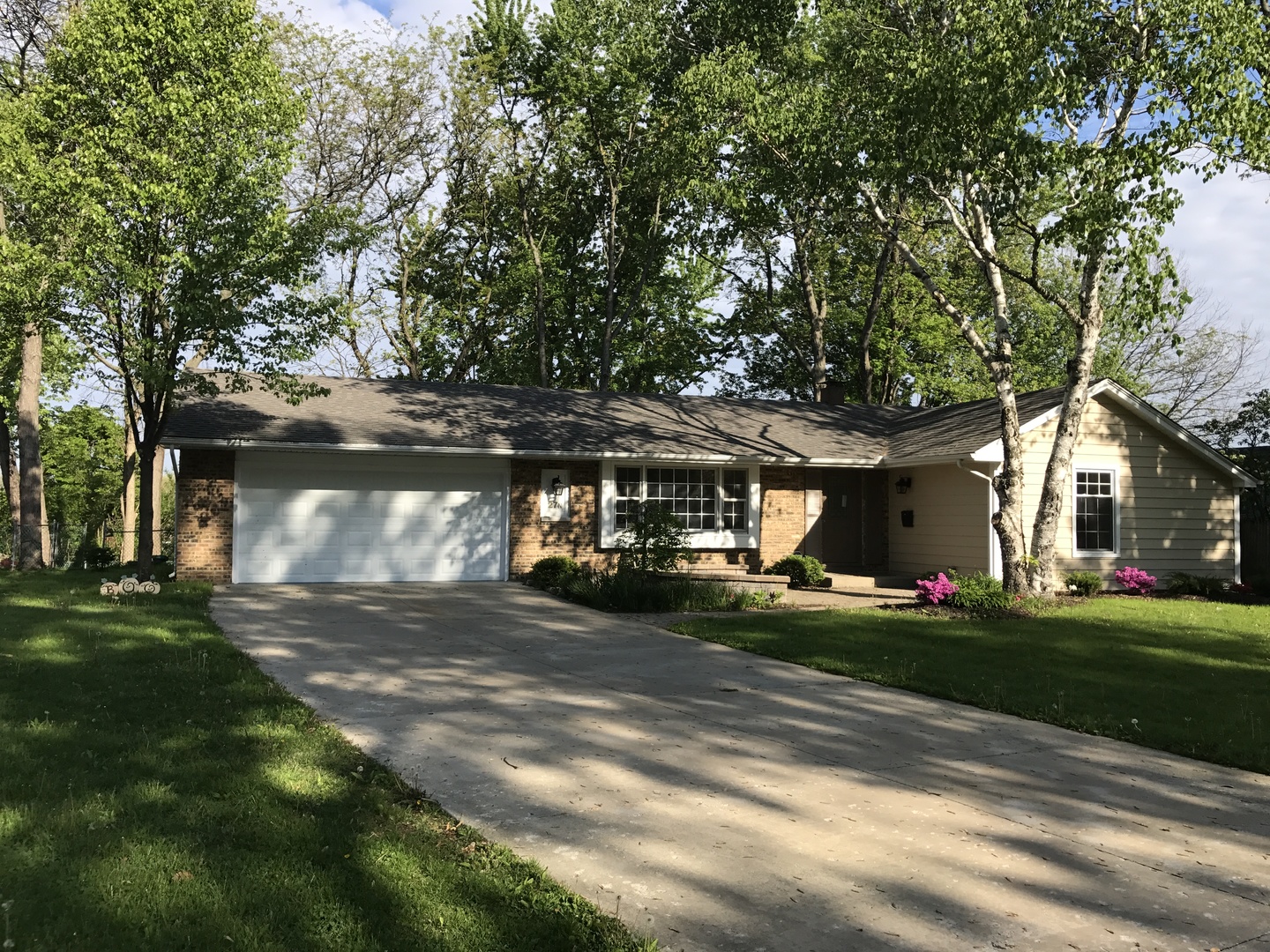 a view of a yard with a house and a tree