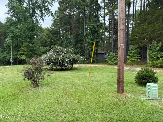 a view of a park with a tree