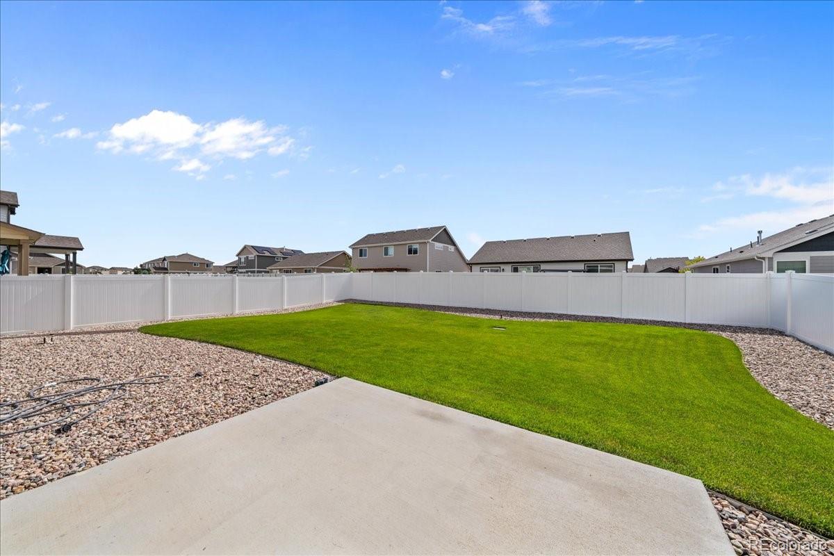 949 Ashbrook Drive Windsor, CO 80550 - Photo 27 of 33 a view of a backyard with tall trees