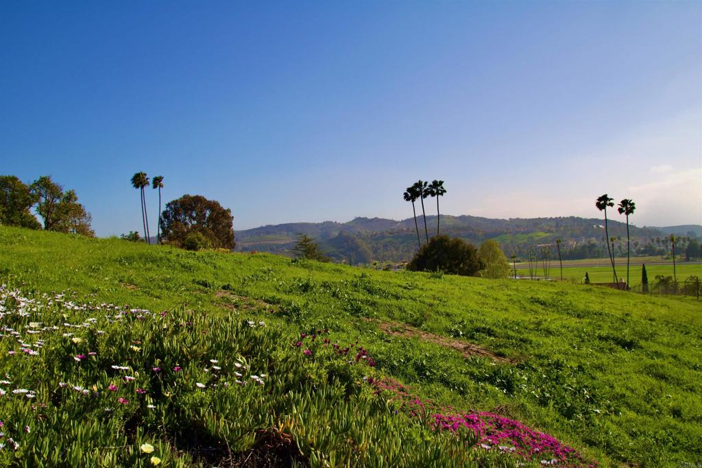 5727 Redondo Drive Bonsall, CA 92003 - Photo 27 of 31