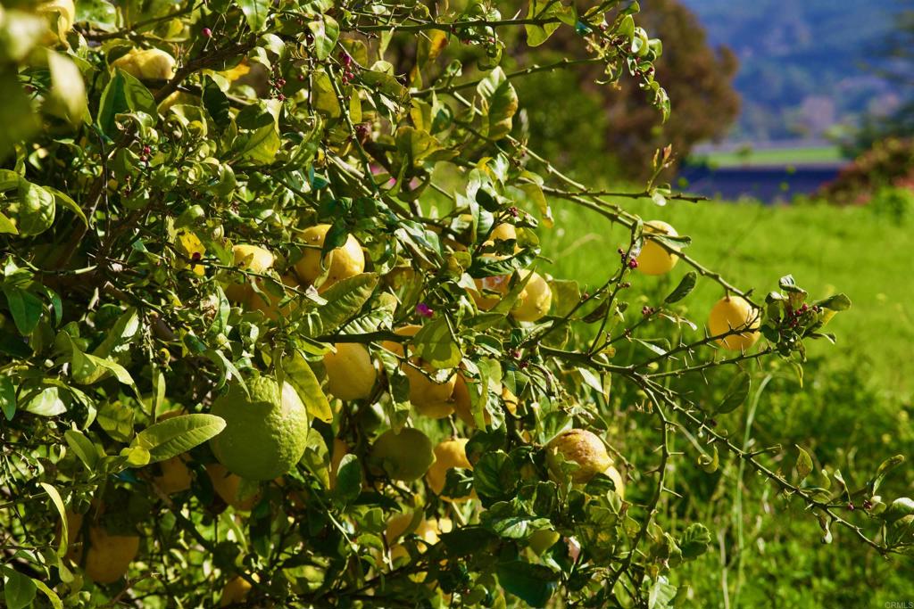 5727 Redondo Drive Bonsall, CA 92003 - Photo 30 of 31