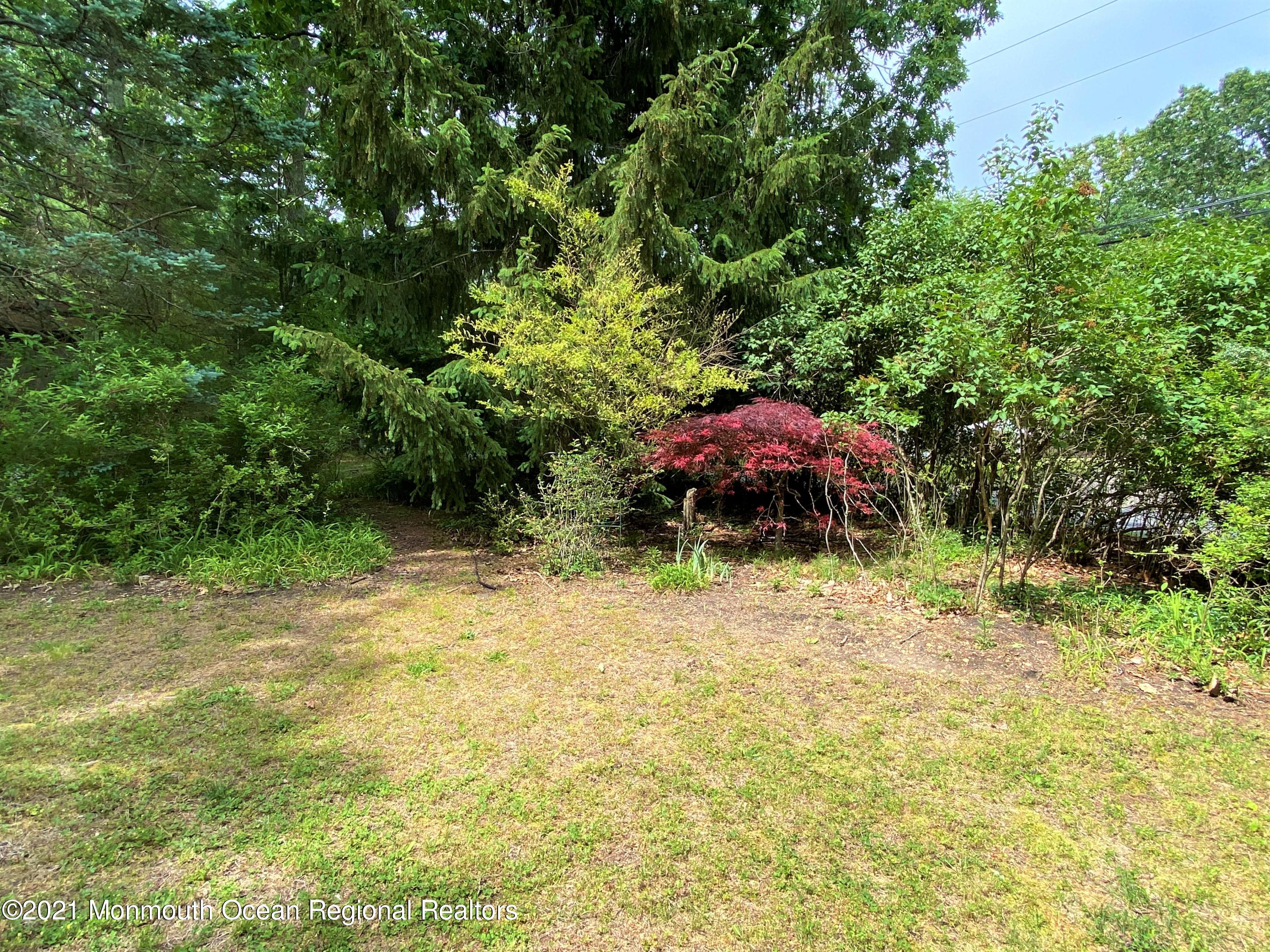361 Black Oak Road Jackson, NJ 08527 - Photo 39 of 57 a backyard of a house with lots of green space