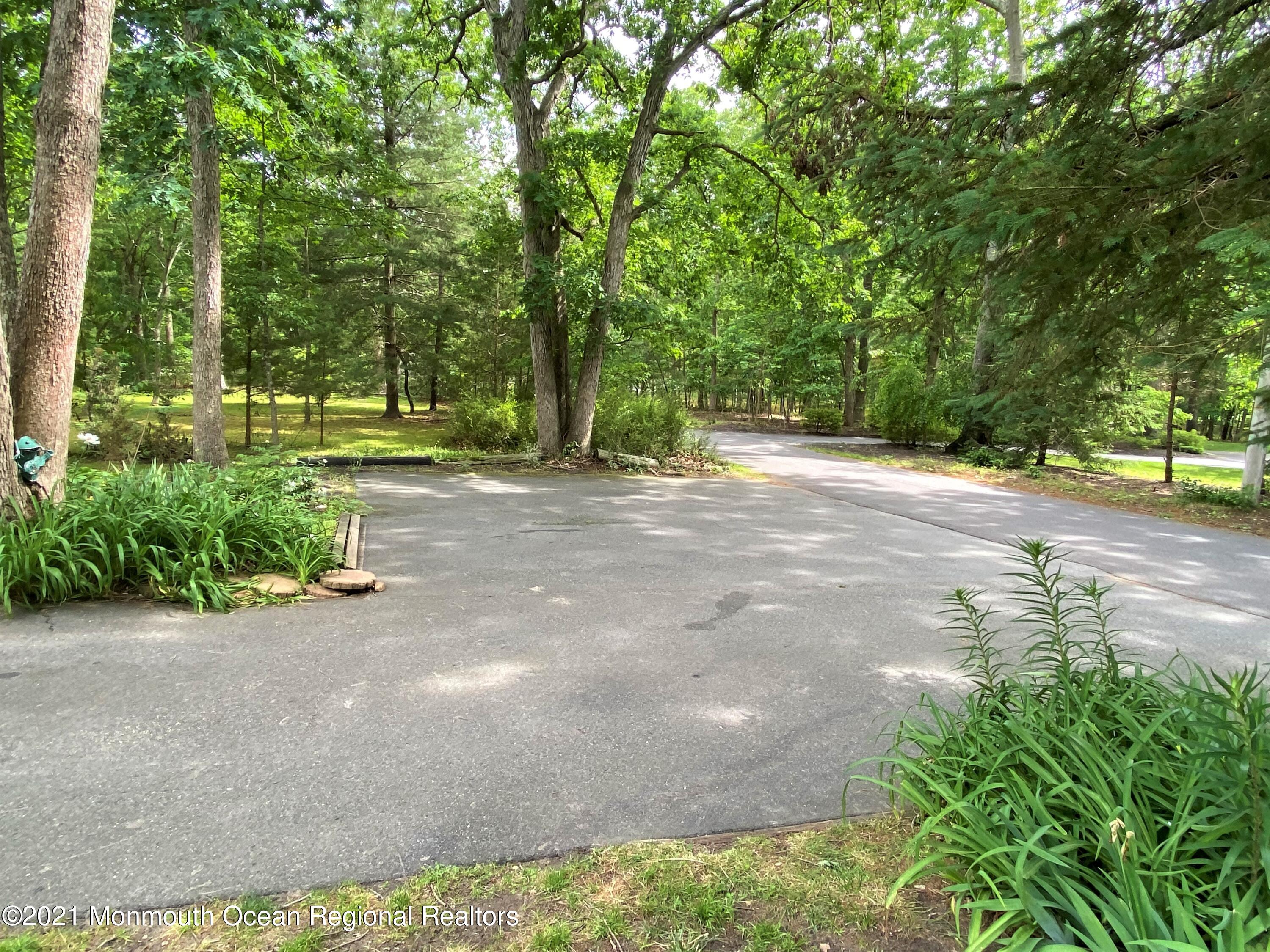 361 Black Oak Road Jackson, NJ 08527 - Photo 41 of 57 a view of a street with a trees