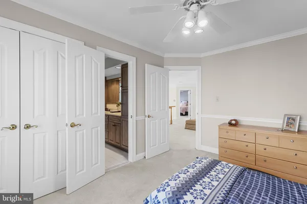 a front view of a house with yard and green space