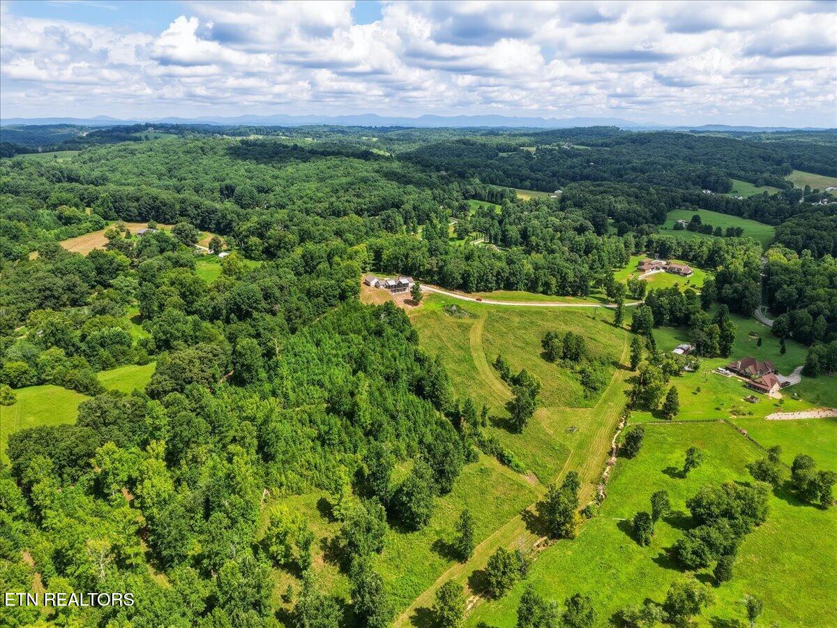 8345 Pine Grove Providence Road Loudon, TN 37774 - Photo 52 of 55 56-013_DJI_20260805115801_0123_D