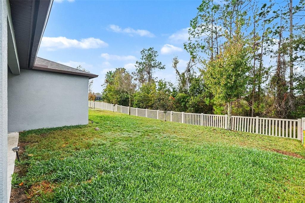 12593 Palapa Loop Spring Hill, FL 34610 - Photo 21 of 21 a view of a backyard