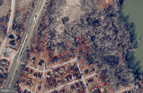 a close up of a plant