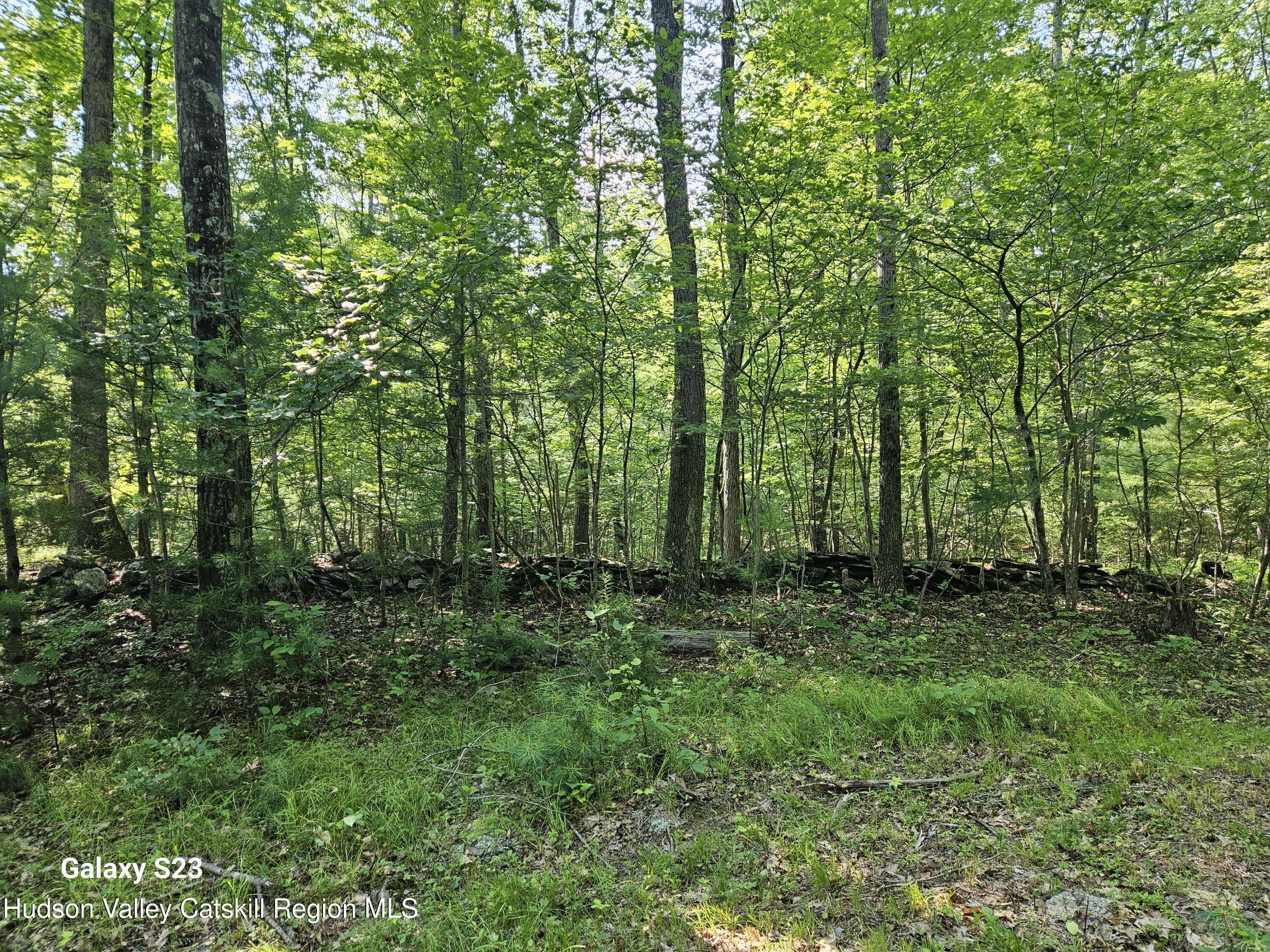 0 Hearts Content Road Catskill, NY 12414 - Photo 3 of 21 20260711_163619