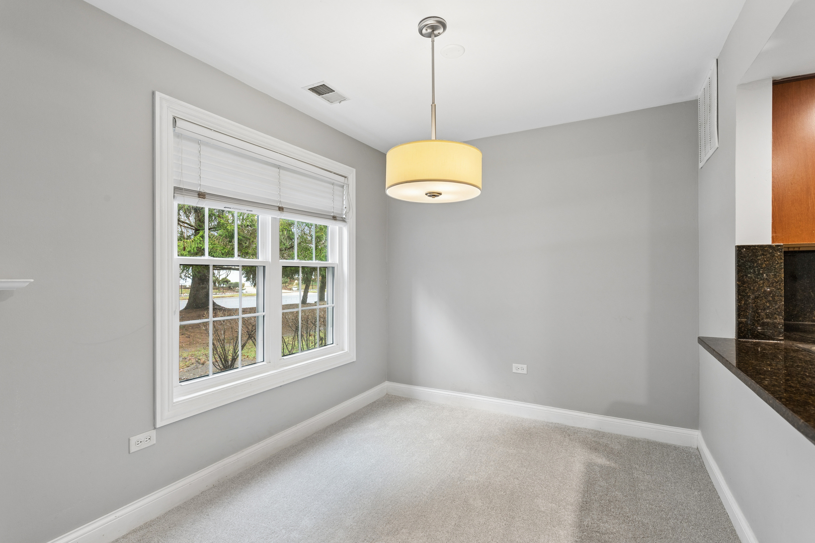 43 Foxcroft Road, Unit 43127 Naperville, IL 60565 - Photo 7 of 19