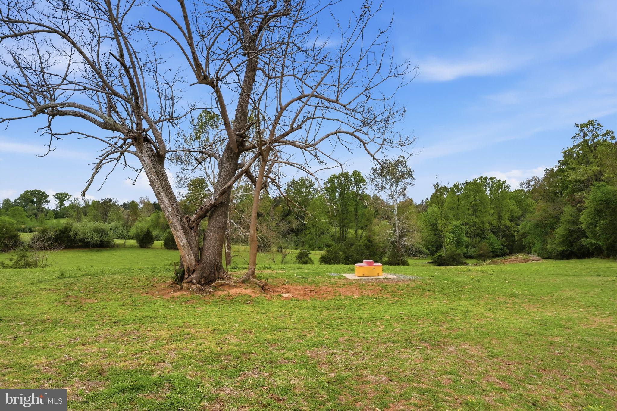 481 James City Road Leon, VA 22725 - Photo 76 of 89 a view of a field with a tree