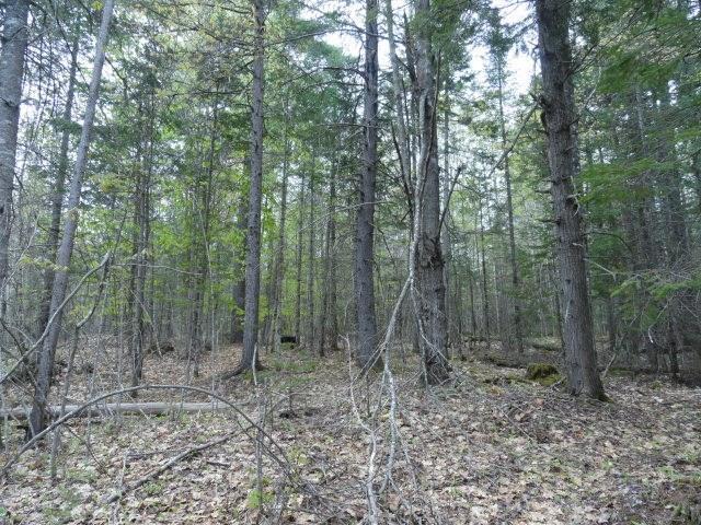 Map 7-lot Map 7-lot Pond Hill Rd Brooks Brooks, ME 04921 - Photo 12 of 15 Pond Hill 5