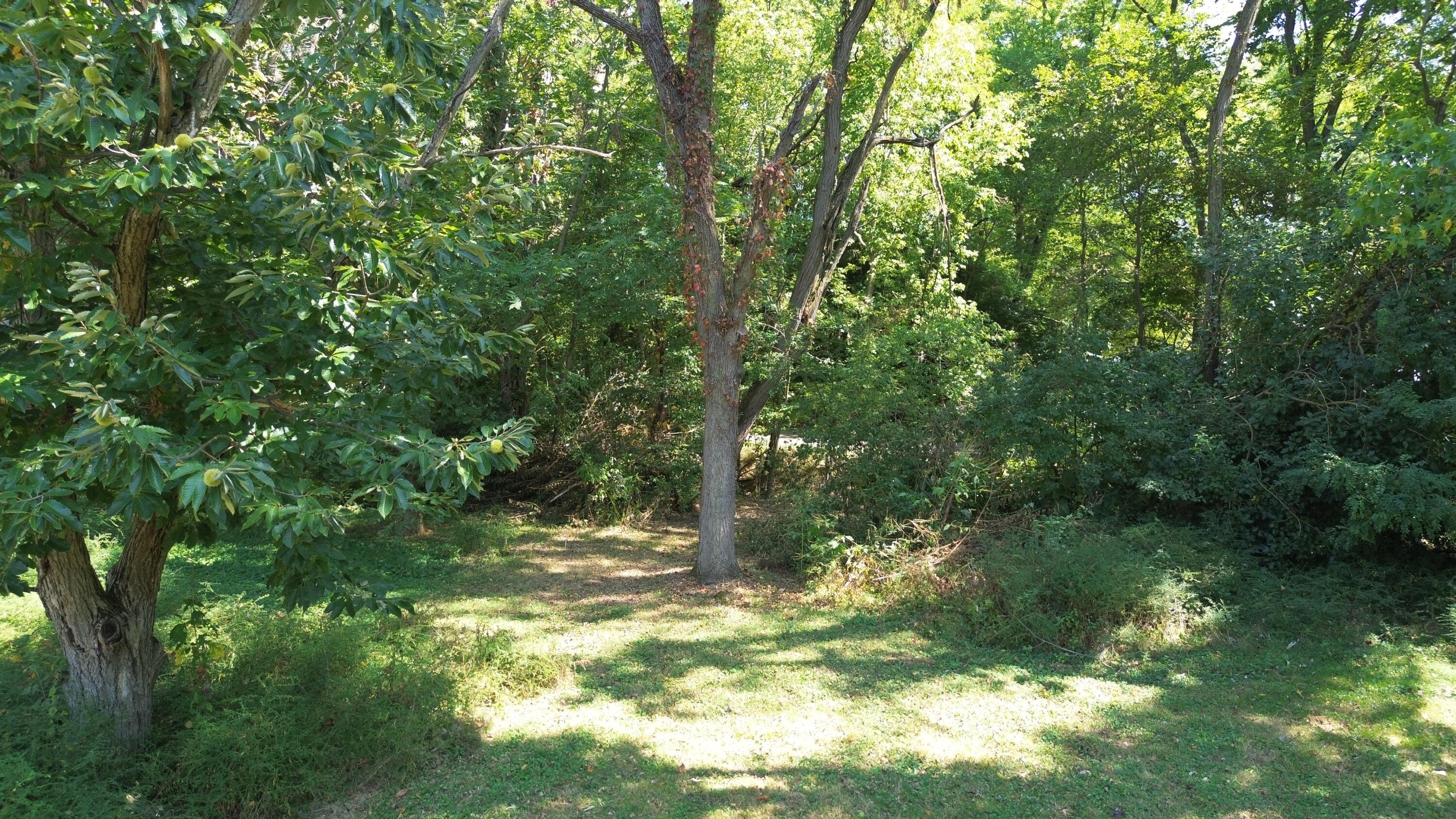 2642 Springfield Xenia Road Springfield, OH 45506 - Photo 40 of 43 DJI_0421