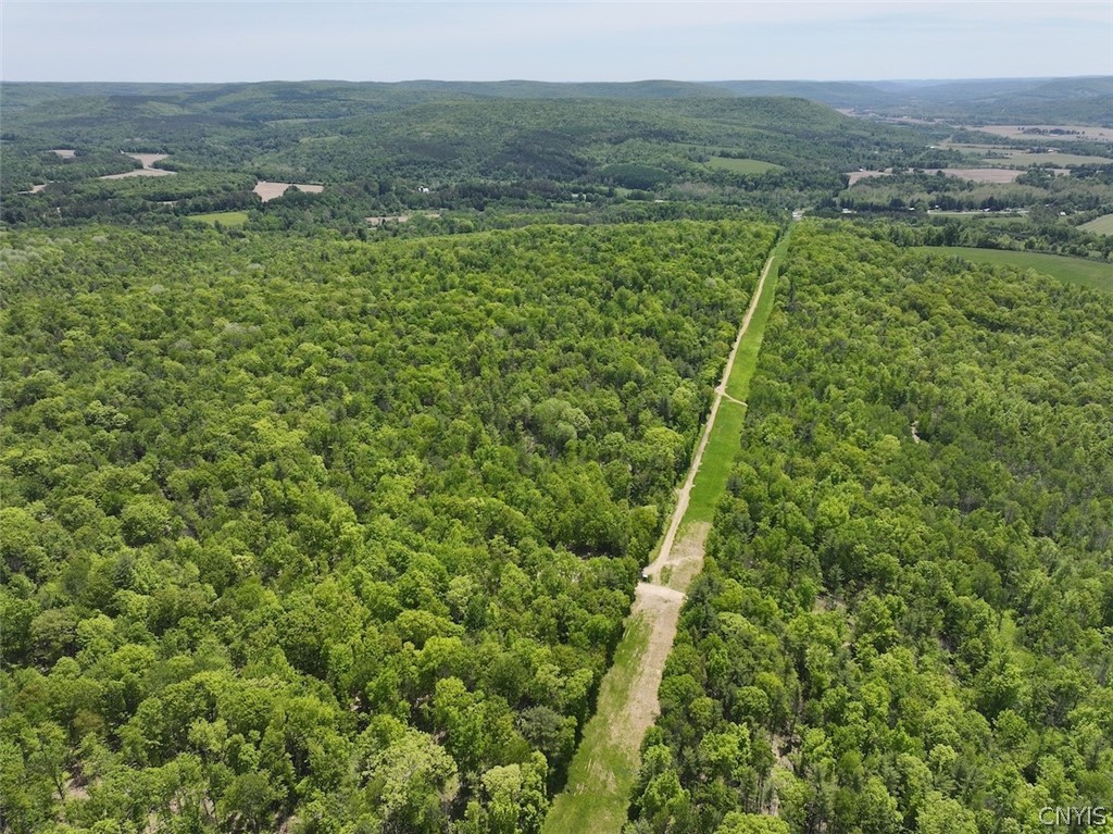 River Road Belmont, NY 14813 - Photo 21 of 23