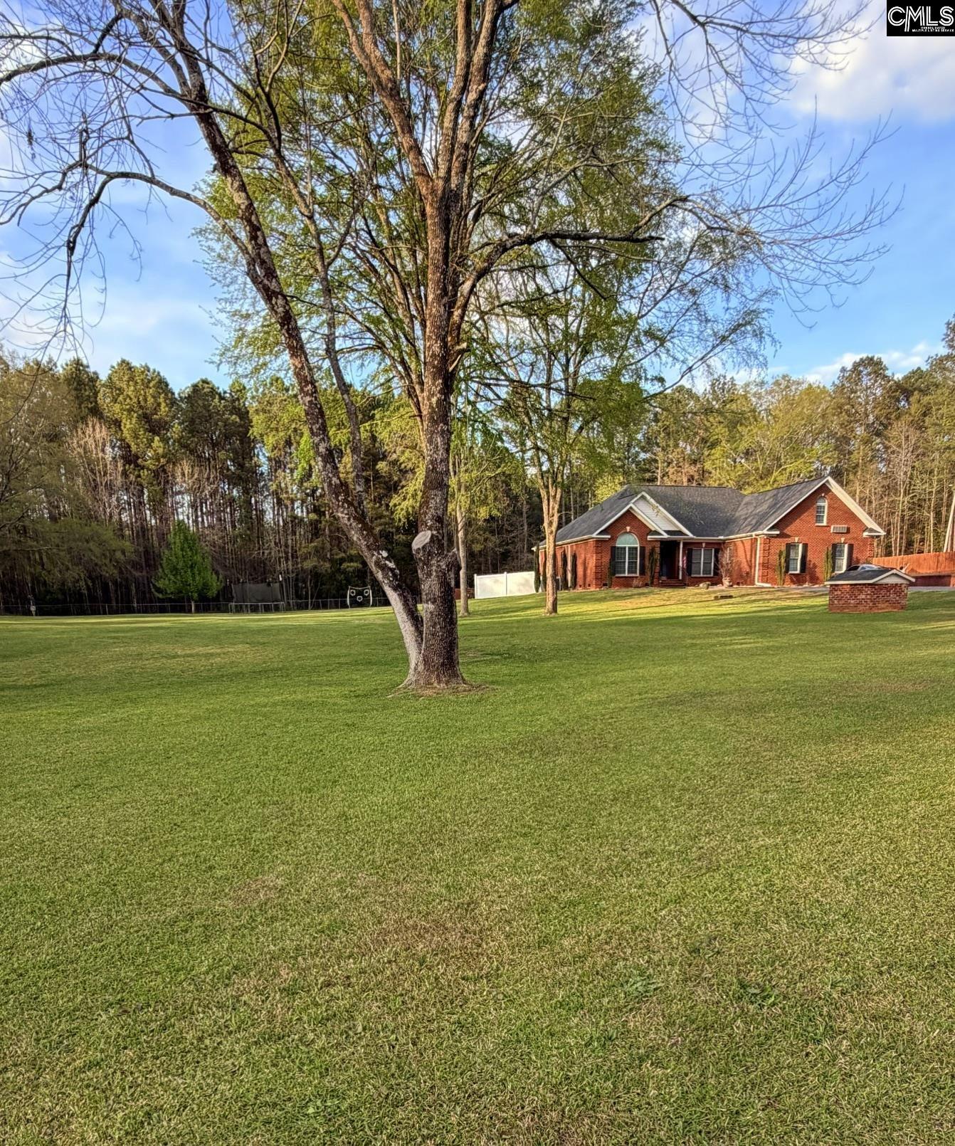 1504 Old Hilton Road Chapin, SC 29036 - Photo 3 of 18