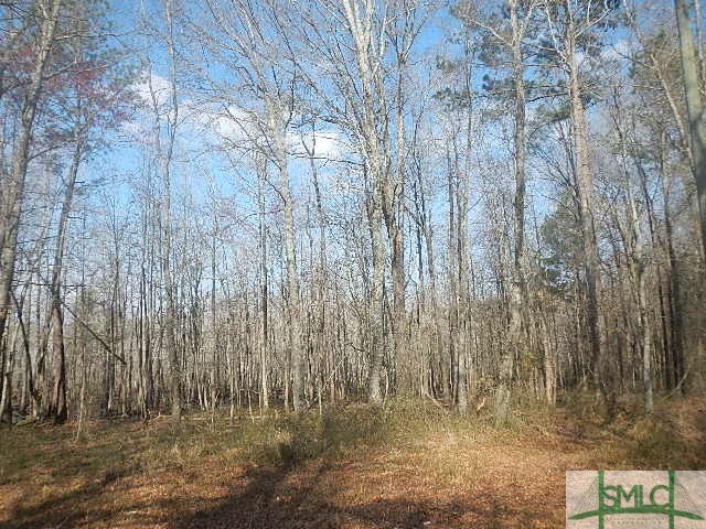 0 Peavy Road Byron, GA 31008 - Photo 3 of 6