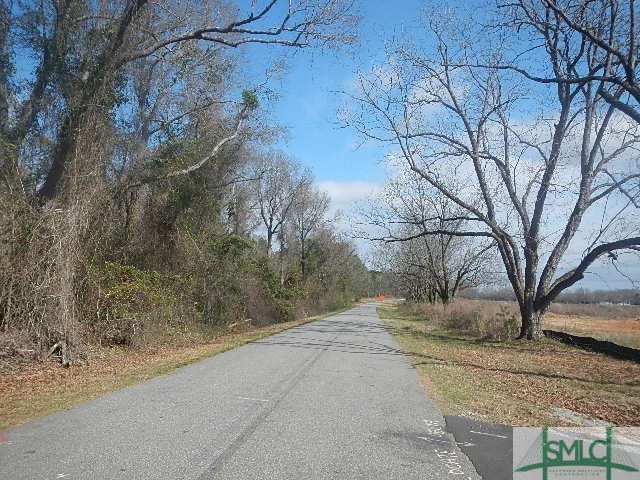 0 Peavy Road Byron, GA 31008 - Photo 4 of 6