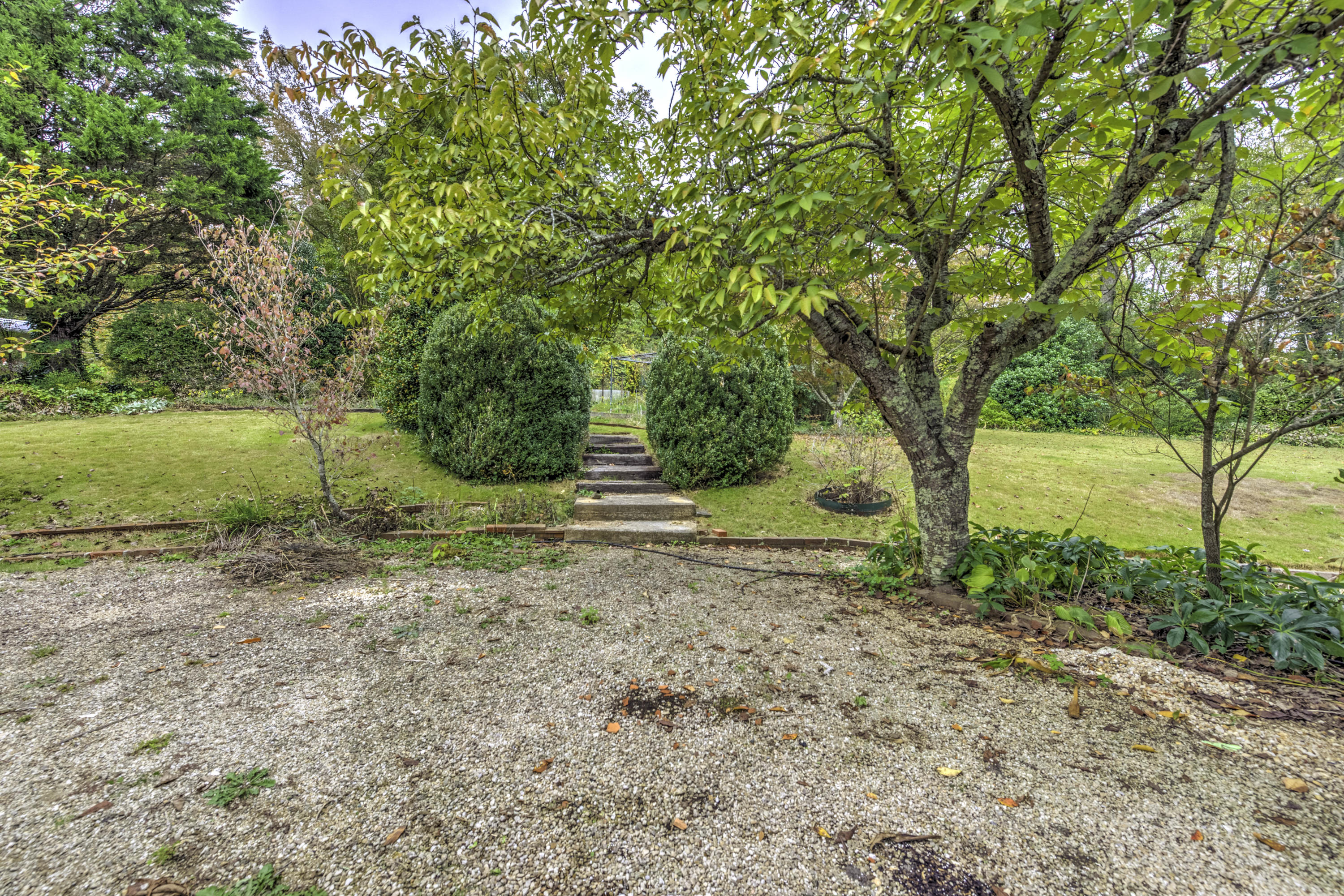 102 Davidson Lane Oak Ridge, TN 37830 - Photo 29 of 36 Walkway and gardens