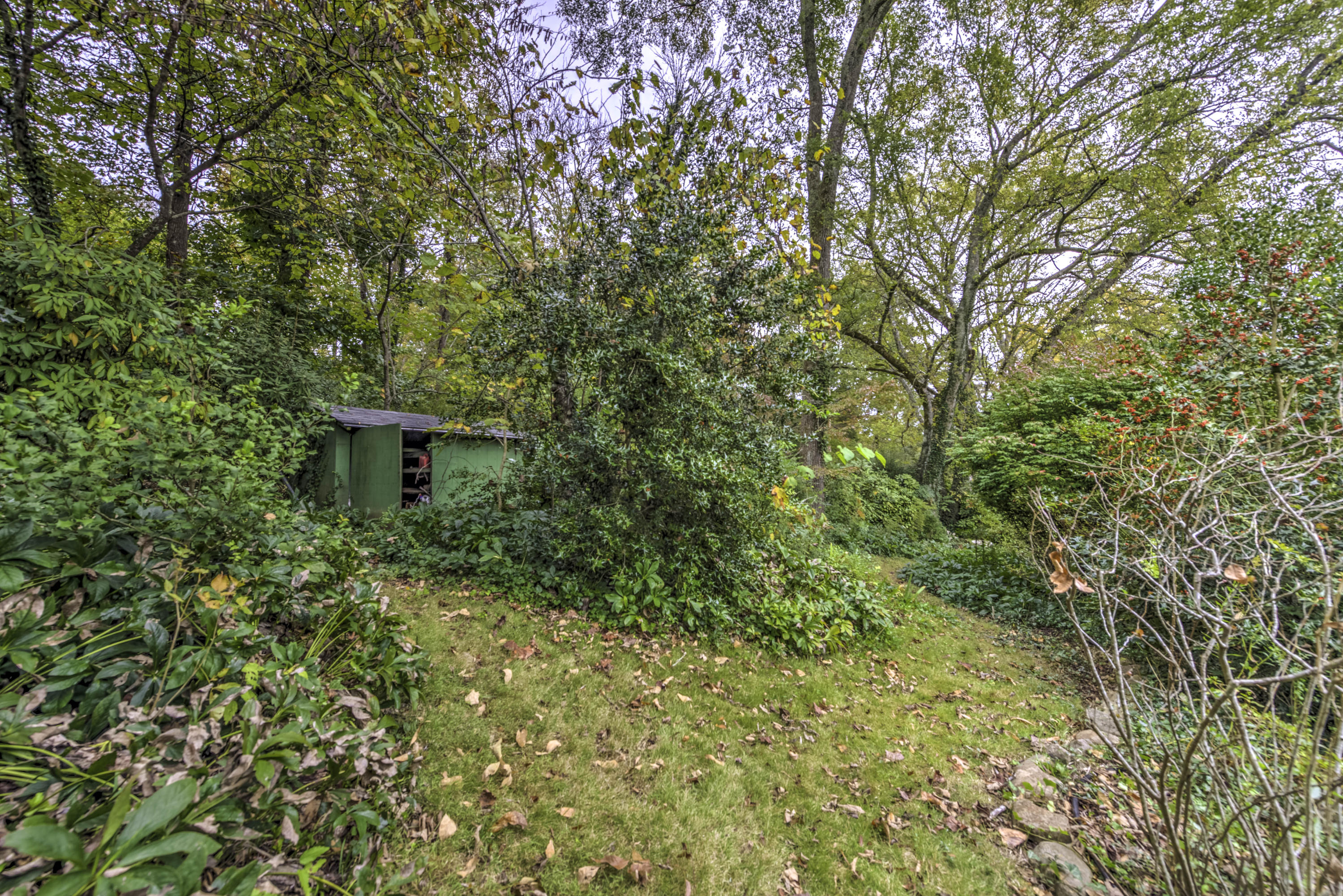 102 Davidson Lane Oak Ridge, TN 37830 - Photo 32 of 36 More gardens