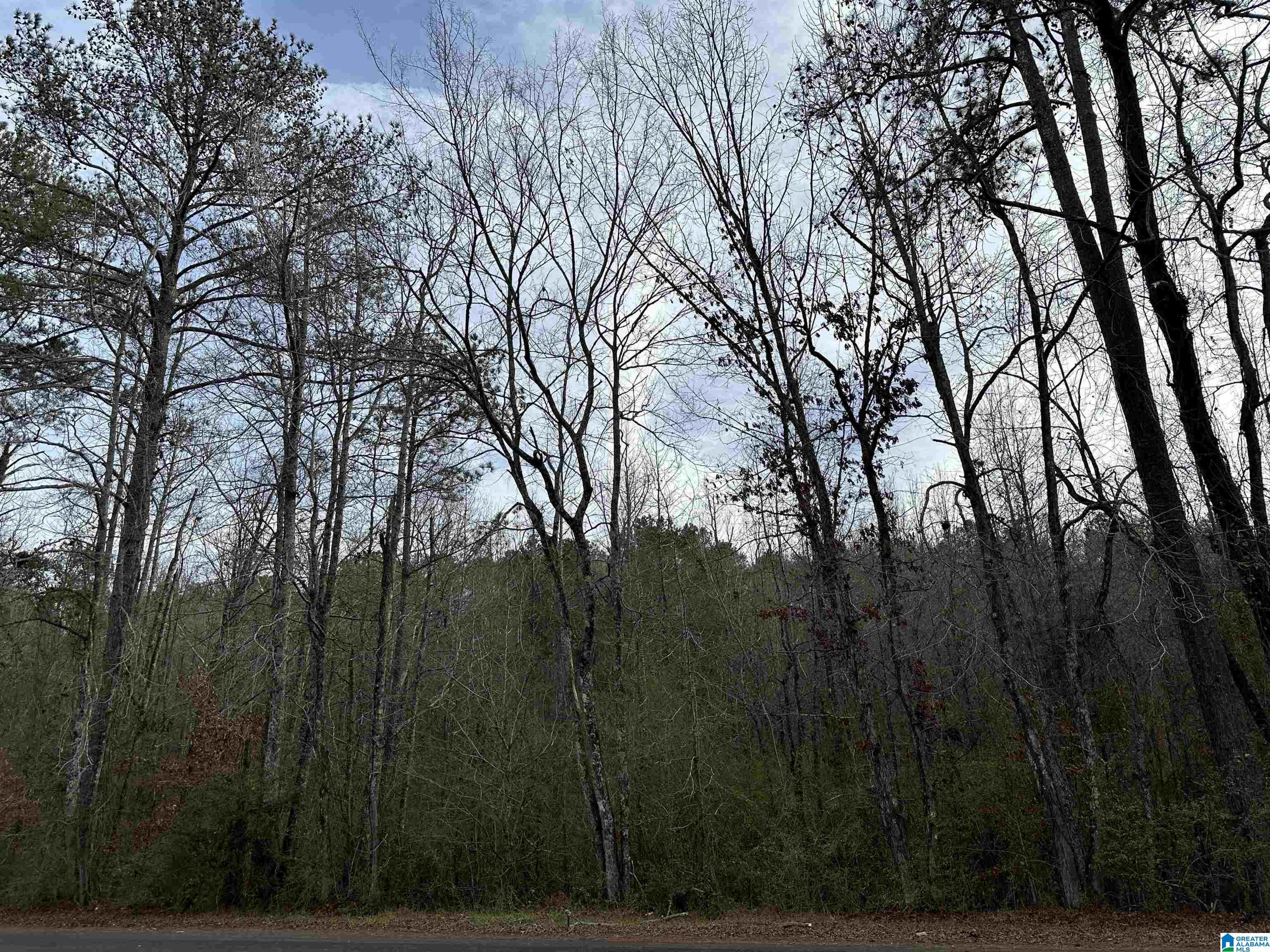 166 Warrior Robbins Road, Unit 6 4 ACRES Warrior, AL 35180 - Photo 10 of 17