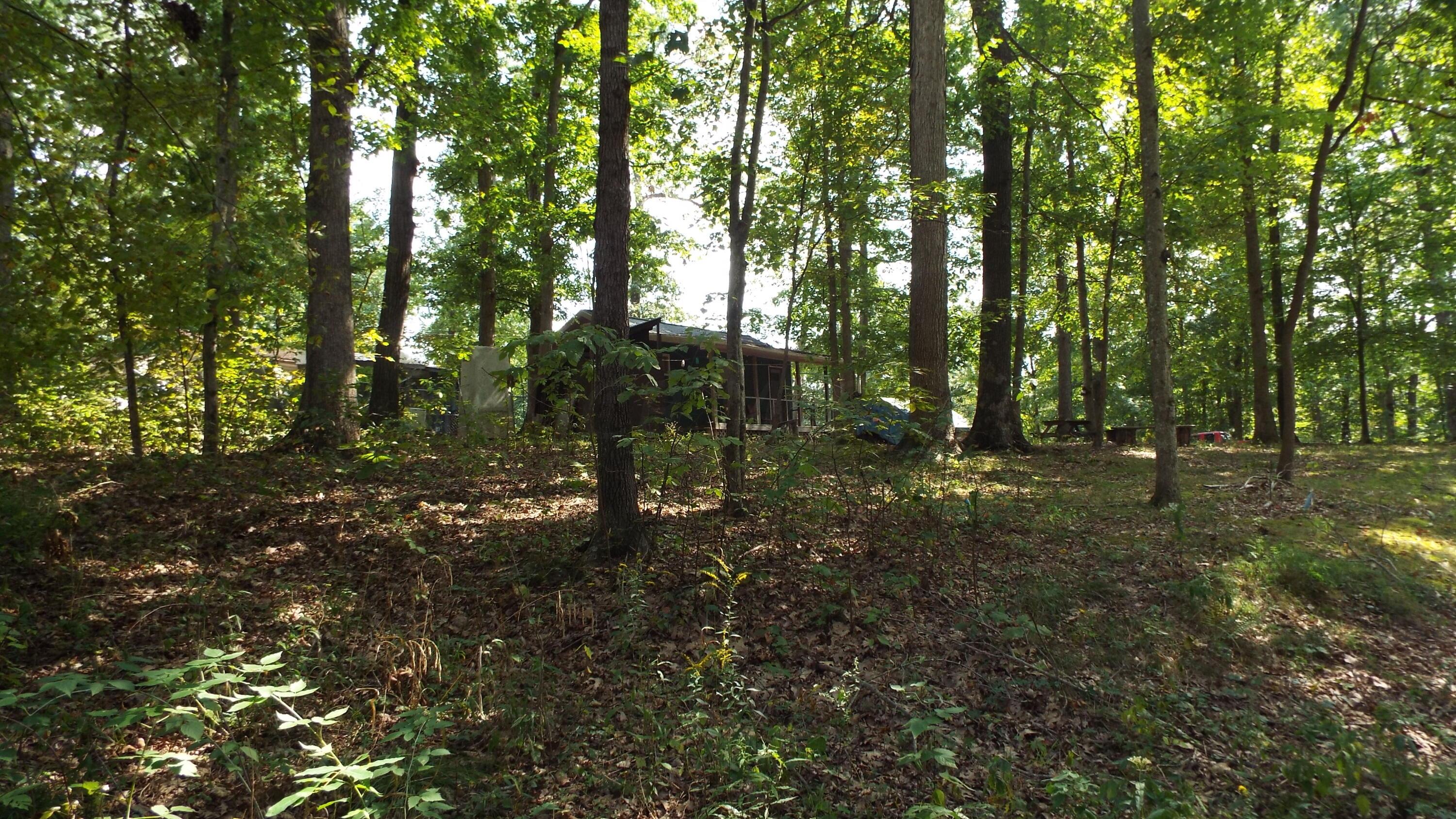 0 Red Maple Road Glouster, OH 45732 - Photo 7 of 16 Lot next to cabin lot