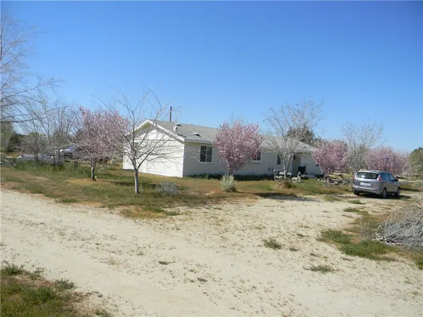 a backyard of a house with a yard and large trees