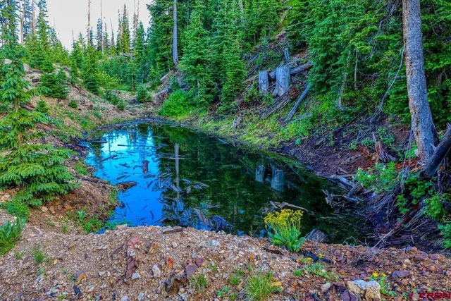 a view of a garden with plants