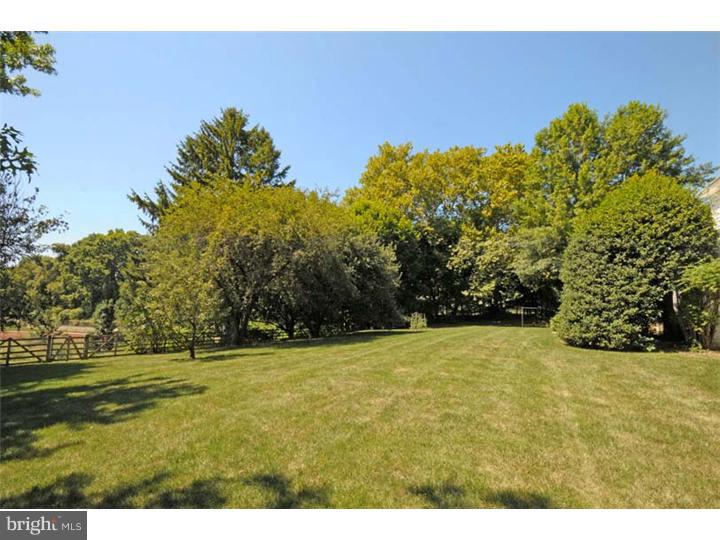 924 Oak Ridge Road Bryn Mawr, PA 19010 - Photo 19 of 21 Back Yard
