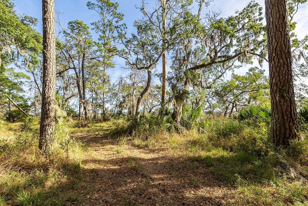 0 Oak Bluff Road Southeast McRae-Helena, GA 31037 - Photo 25 of 47