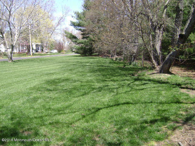 65 Skidmore Road Freehold, NJ 07728 - Photo 29 of 32 a backyard of a house with lots of green space and fountain
