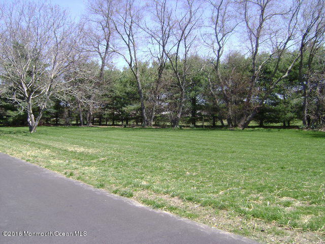 65 Skidmore Road Freehold, NJ 07728 - Photo 3 of 32 a view of a grassy field with trees